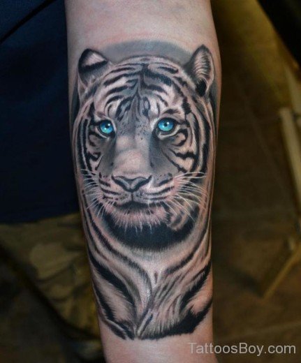 Attractive Tiger Tattoo Design-Tb106