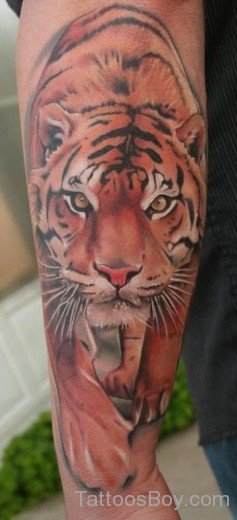 Attractive Tiger Tattoo