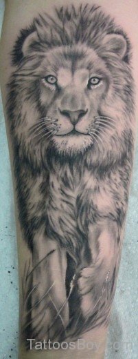 Aweosme Lion Tattoo-TB1008