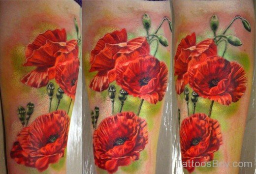Awesome Poppy Flower Tattoo-TB1004