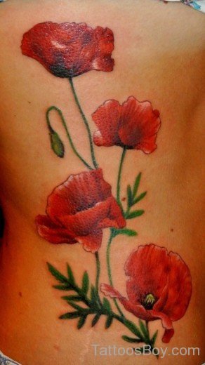 Awesome Poppy Tattoo-TB1005