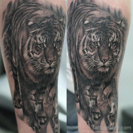 Awesome Tiger Tattoo Design-TB1013