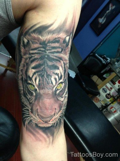 Awesome Tiger Tattoo On Bocep-TB1015