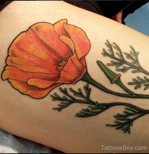 Beautiful Poppy Flower TAttoo-TB102