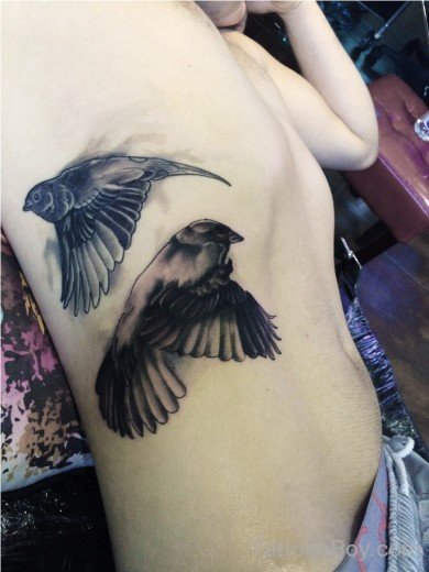 Black & Grey Sparrow Tattoo-Tb1021