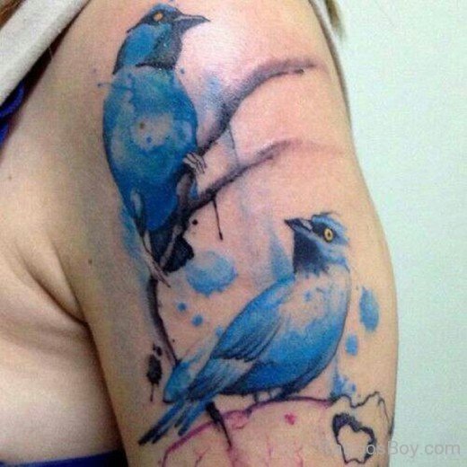 Blue Water Colou Bird Tattoo-Tb1029