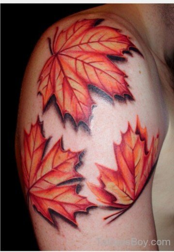 Canadian Leaf Tattoo On Shoulder-TB1039