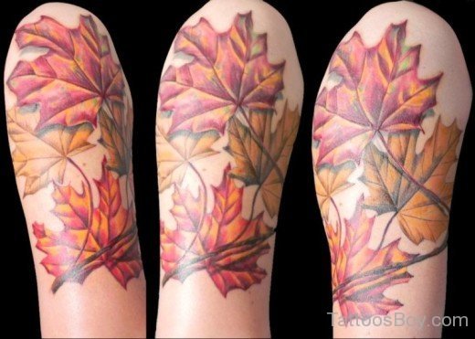 Canadian Leaf Tattoo-TB1041
