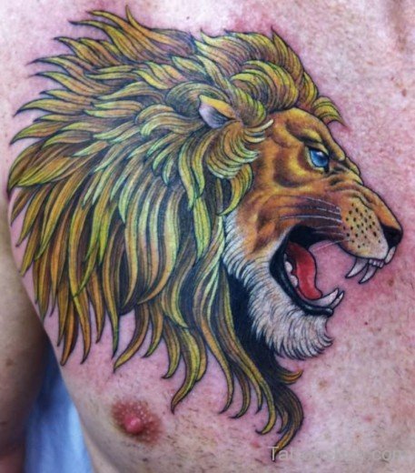 Colored Lion Tattoo On Chest 7-TB1021