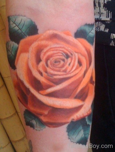 Colored Rose Tattoo Design-TB12040