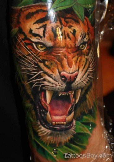 Colored Tiger Tattoo Design-Tb110