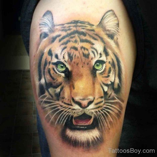 Colored Tiger Tattoo-Tb112