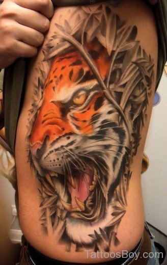 Colorful Lion Tattoo On Rib-TB1026