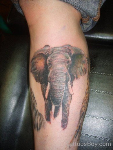Elephant Tattoo On Leg-TB1039