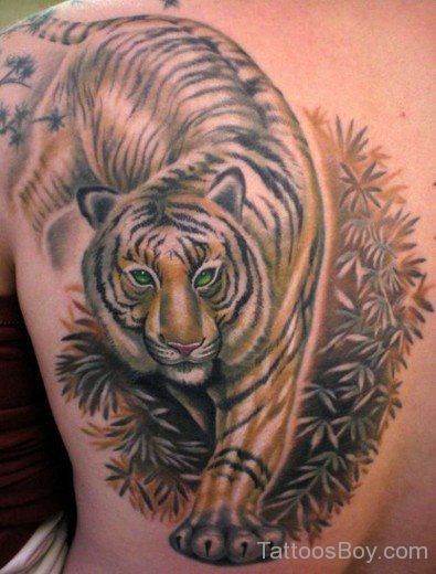 Fantastic Tiger Tattoo On Back-TB1029