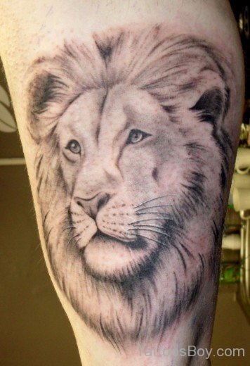 Graceful Lion Tattoo 4-TB1043