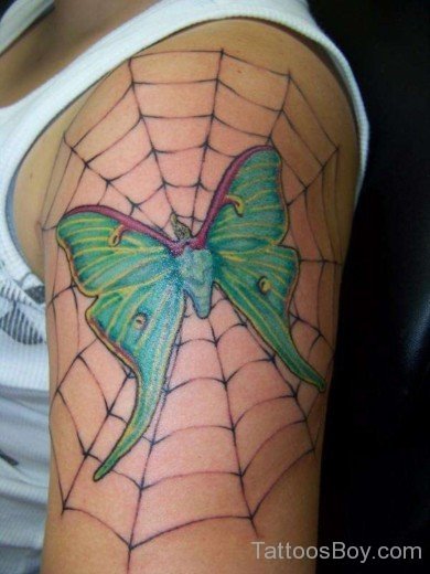 Green Moth In Spiderweb Tattoo