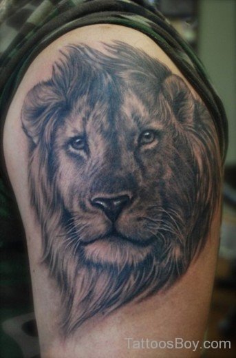 Grey Lion Tattoo-TB1051