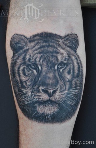 Grey Tiger Tattoo Design-TB1040