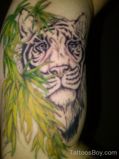 Leaf And Tiger Tattoo-TB1045