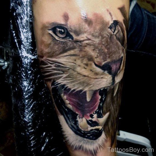 Leo Lion Tattoo-TB1052