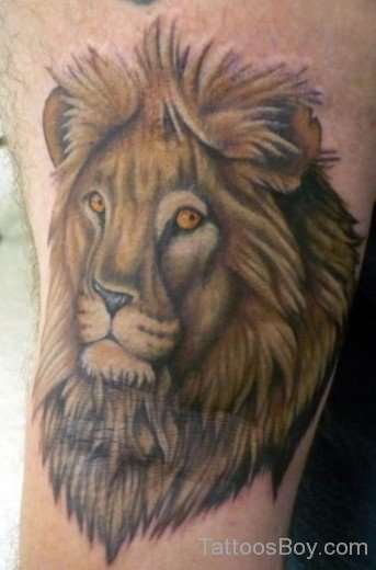 Lion Face Tattoo 3-TB1056
