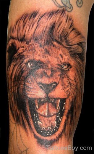 Lion Face Tattoo On Bicep-TB1058