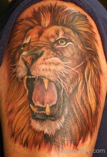 Lion Head Tattoo Design On Half Sleeve-TB1061