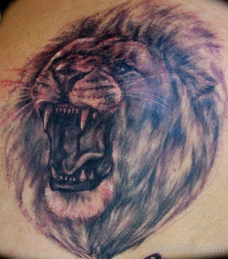 Lion Head Tattoo Design