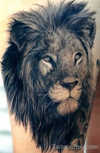 Lion Head Tattoo