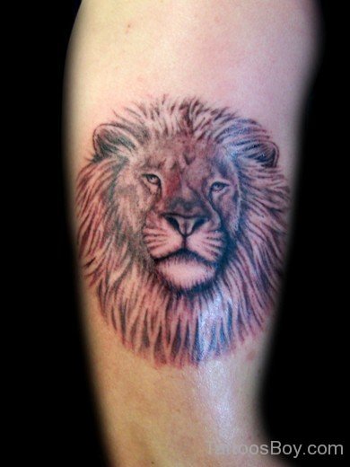 Lion Head Tattoo 