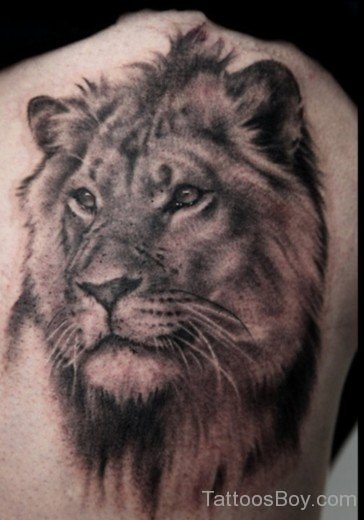 Lion Tattoo 4-TB1068