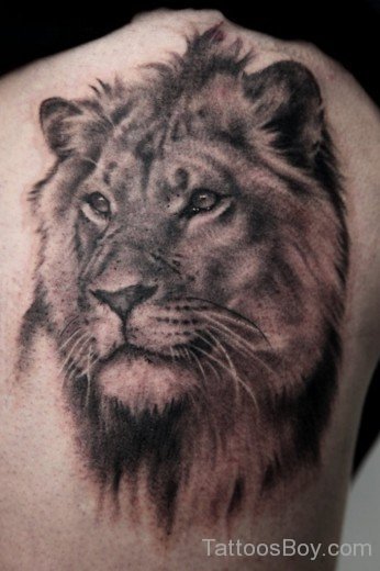 Lion Tattoo On Back-TB1097