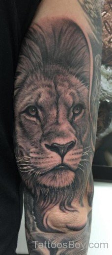 Lion Tattoo