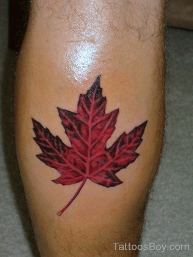 Maple Leaf Tattoo Design-TB1138