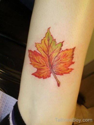 Nice Leaf Tattoo Design