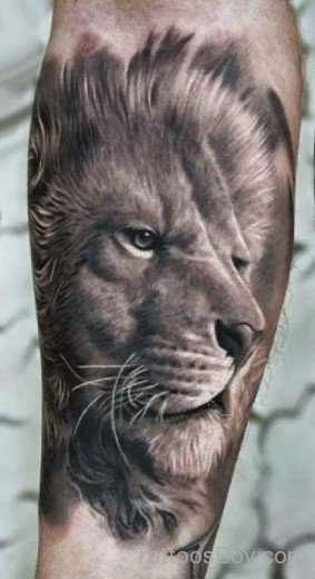 Nice Lion Tattoo Design-TB1115