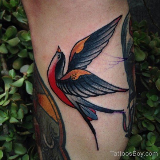 Nice Swallow Tattoo-Tb1072