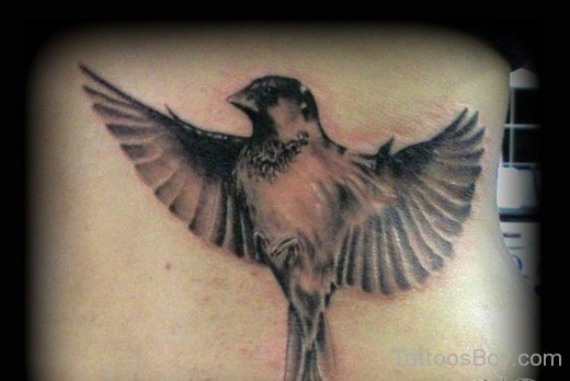 Open Wings Sparrow Tattoo-Tb1074