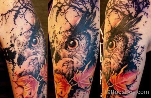 Owl Eye And Leaf Tattoo-TB1156