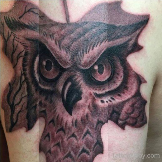 Owl Tattoo