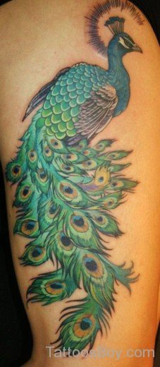 Peacock Tattoo On Thigh-TB1124