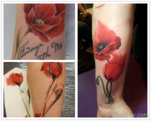 Poppy Tattoo Design 