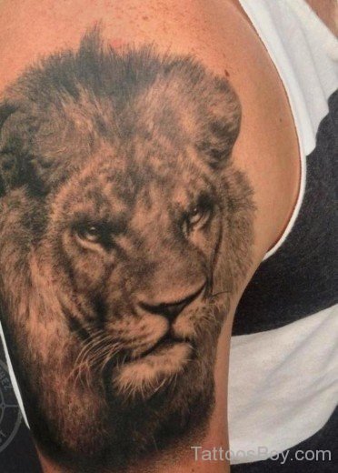 Realistic Lion Tattoo Design-TB1121