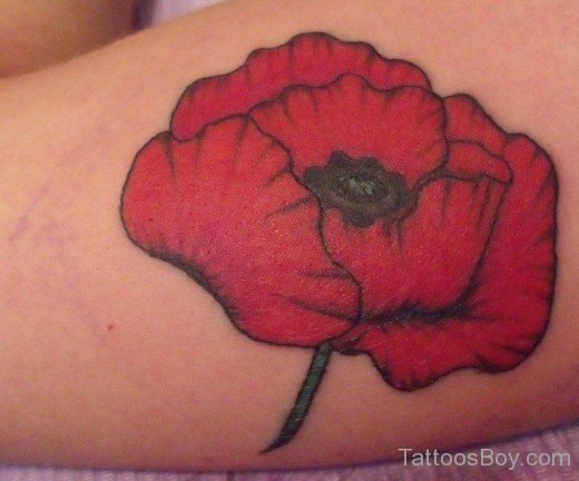 Red Poppy Flower Tattoo Design-TB1083