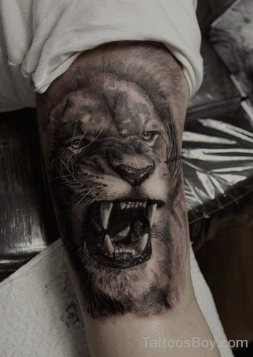 Roaring Lion Tattoo Design-TB1123