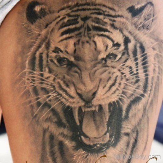 Roaring Tiger Tattoo Design-TB1049