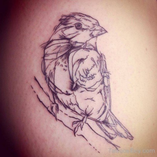 Sparrow Sketch Tattoo-Tb1088
