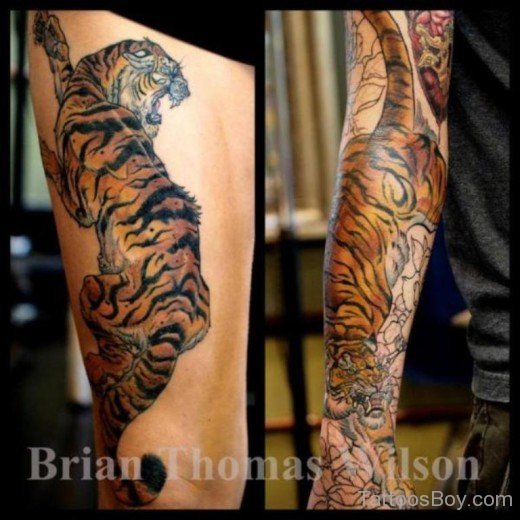 Stylish Tiger Tattoo Design-TB1057