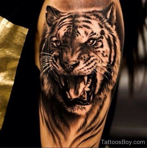 Tiger Face Tattoo Design-TB1062